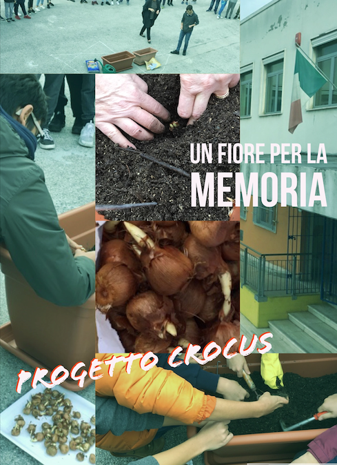 immagini varie della cerimonia della semina dei bulbi di crocus nel piazzale antistante la scuola